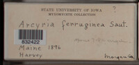 Image Associated With the Occurence